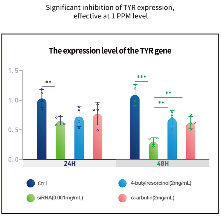 Bahan Aktif siRNA dalam Perawatan Kulit