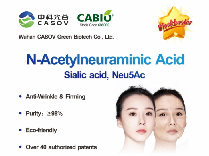 Asam N-Asetilneuraminat