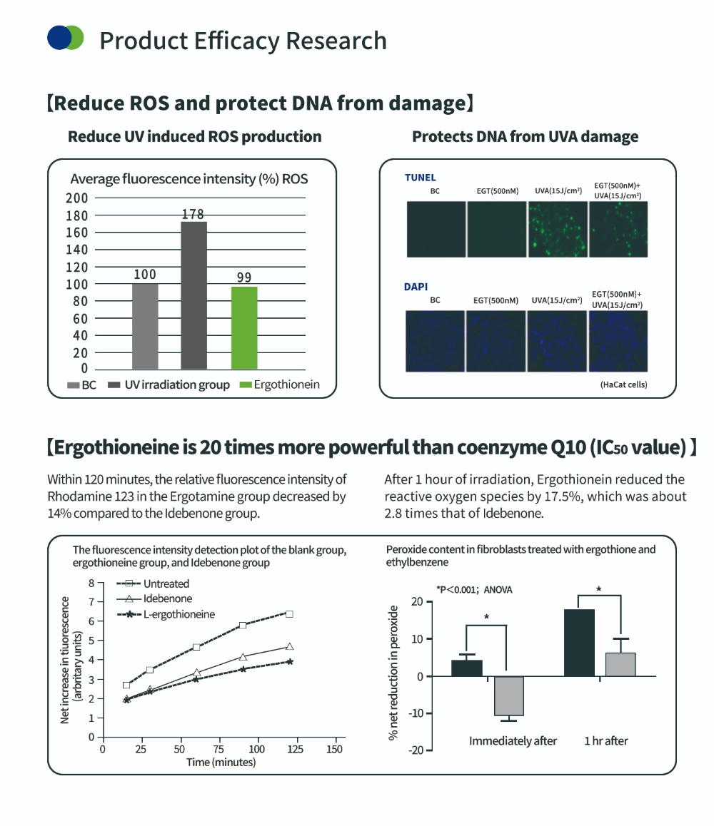 Senyawa Antioksidan Ergothioneine Senyawa Antioksidan Ergothioneine