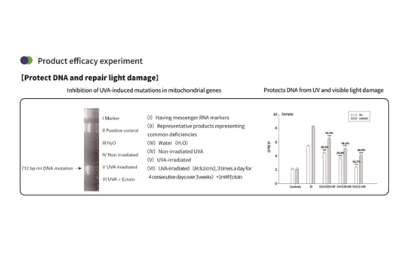 Bubuk Ectoin untuk Kulit: Melindungi, Memperbaiki, dan Melembapkan Secara Alami