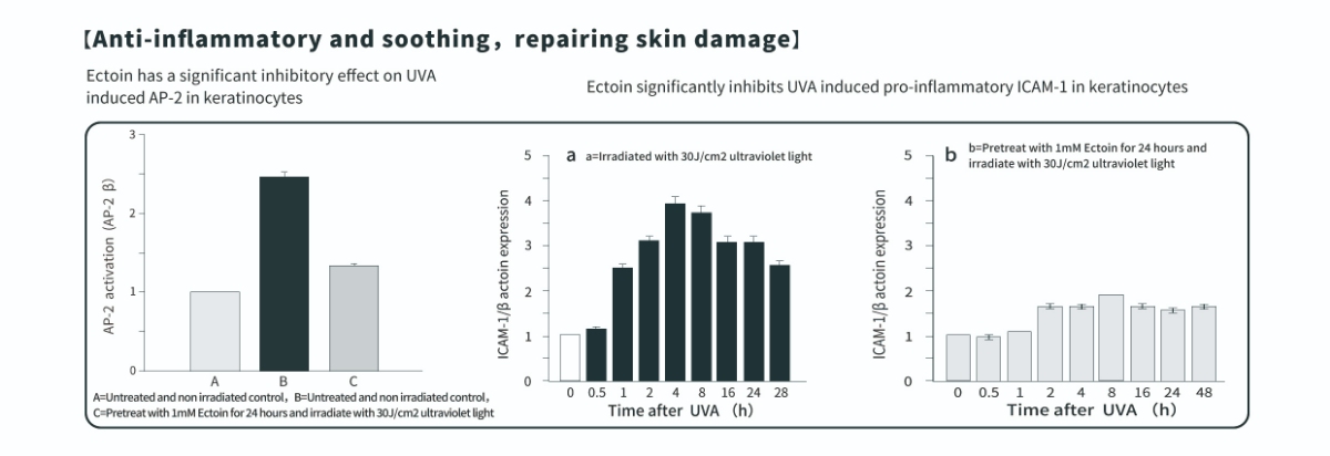 Manfaat Anti-Peradangan Bubuk Ectoin untuk Kulit Manfaat Anti-Peradangan Bubuk Ectoin untuk Kulit