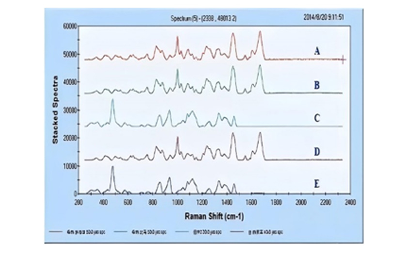 Platform analisis dan pengujian tinggi throughput