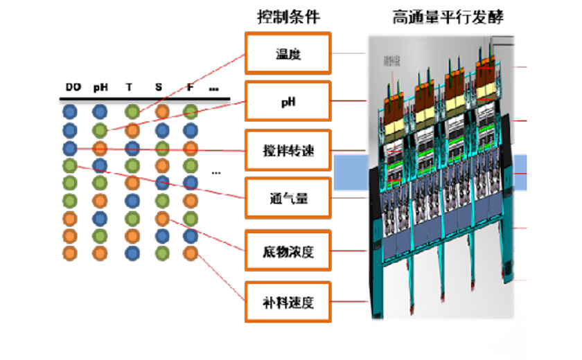 Fermentasi cerdas dan platform regulasi halus metabolik