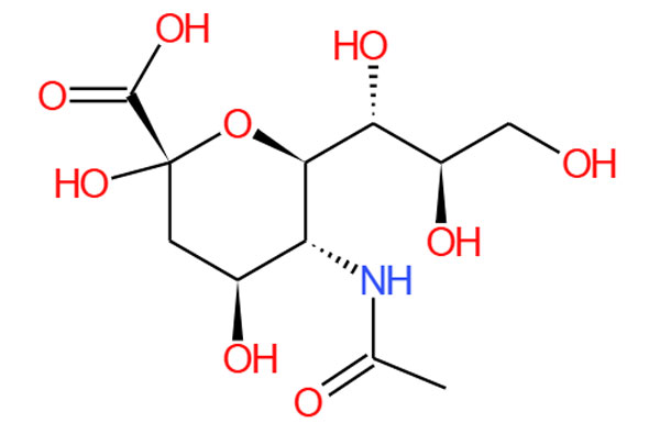 Asam N-asetilneuraminiat