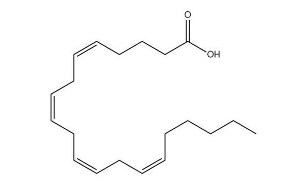 Asam arakidonat