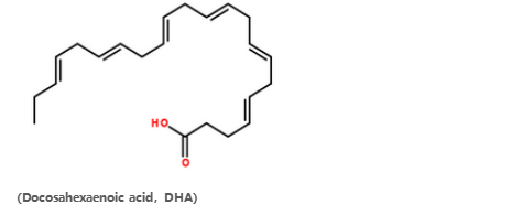 Asam DHA Docosahexaenoic