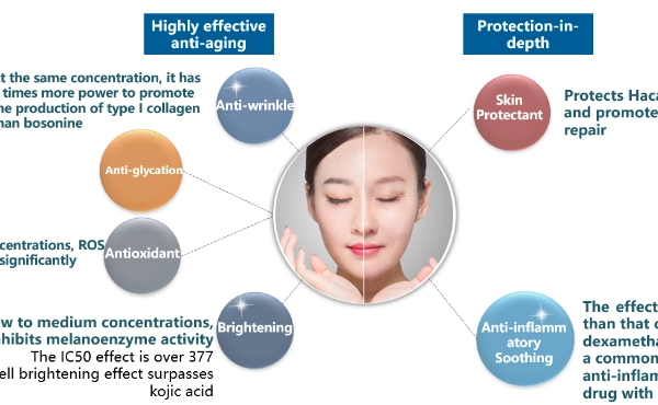 Rahasia untuk Pemuda Kekal: Kekuatan asam N-acetylneuraminic