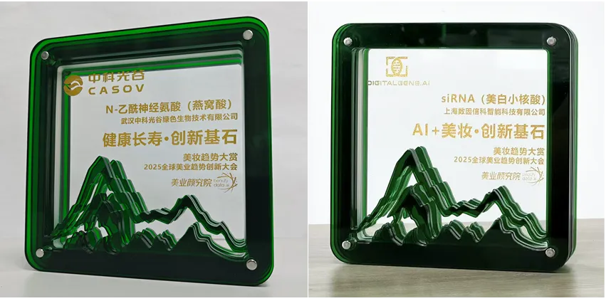 Penghargaan Inovasi Ganda