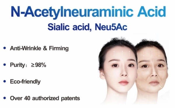 Kekuatan Bahan Suplemen Asam N-Acetylneuraminic: Manfaat Asam Sialat untuk Kecantikan